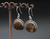 Sterling Silver Crazy Lace Agate Earrings