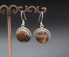 Sterling Silver Crazy Lace Agate Earrings