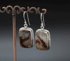 Sterling Silver Crazy Lace Agate Earrings