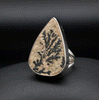 Sterling Silver Dendritic Jasper Ring Size 5