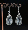 Sterling Silver Dendritic Opal Earrings