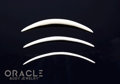 Extra Long 3" Plain Horn and Bone Tusks