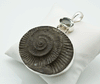 Steel Ammonite and Green Amethyst Pendant