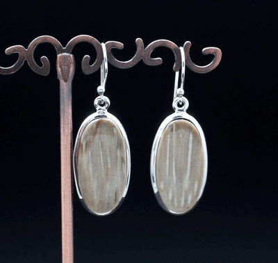 Sterling Silver Petrified Palm Wood Earrings
