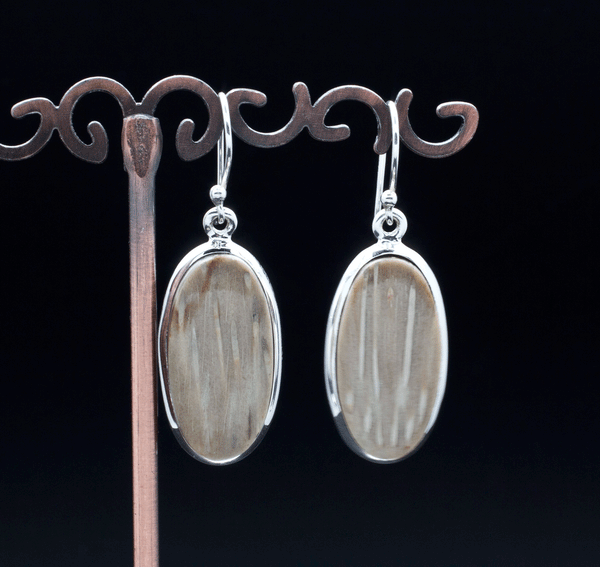 Sterling Silver Petrified Palm Wood Earrings