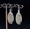 Sterling Silver Petrified Palm Wood Earrings