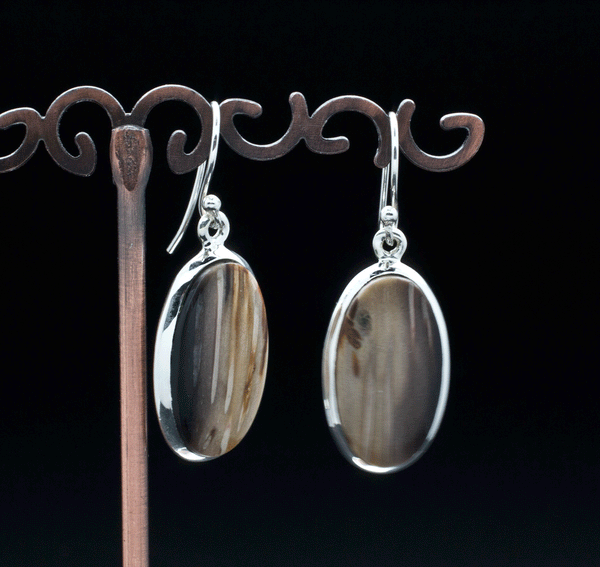 Sterling Silver Petrified Palm Wood Earrings