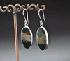 Sterling Silver Ocean Jasper Earrings