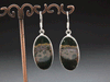 Sterling Silver Ocean Jasper Earrings