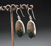 Sterling Silver Ocean Jasper Earrings