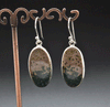 Sterling Silver Ocean Jasper Earrings