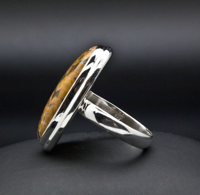 Sterling Silver Ocean Jasper Ring Size 8