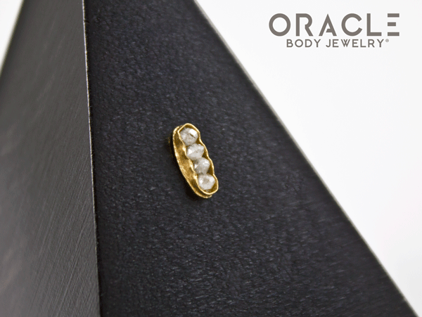 14k Channel Set Diamond Threadless Gold End