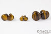 Yellow Tiger Eye Single Flare Plugs