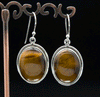 Sterling Silver Yellow Tiger Eye Earrings