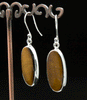 Sterling Silver Yellow Tiger Eye Earrings