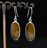 Sterling Silver Yellow Tiger Eye Earrings