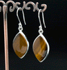 Sterling Silver Yellow Tiger Eye Earrings