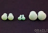 Amazonite Single Flare Plugs