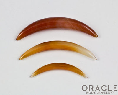 Carnelian Septum Tusk