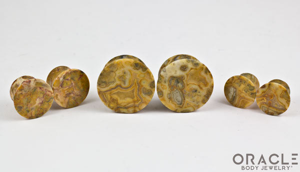Crazy Lace Agate Mayan Style Flare Plugs