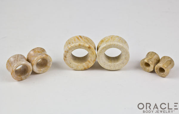 Fossilized Coral Eyelets / Tunnels