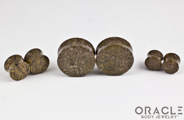 Green Brecciated Jasper Double Flare Plugs