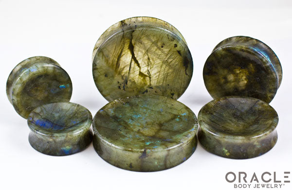 Labradorite Concave Solid Double Flare Plugs