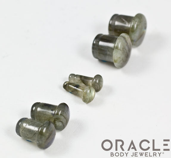 Labradorite Single Flare Plugs