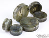 Labradorite Concave Solid Double Flare Plugs