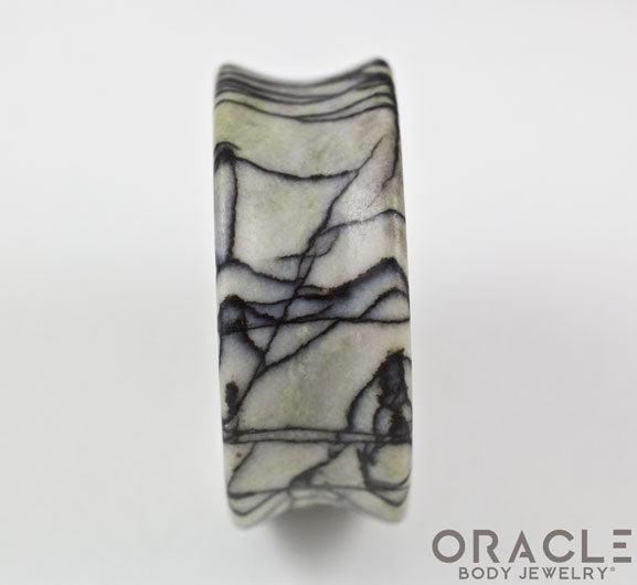 Picasso Jasper Concave Solid Double Flare Plugs